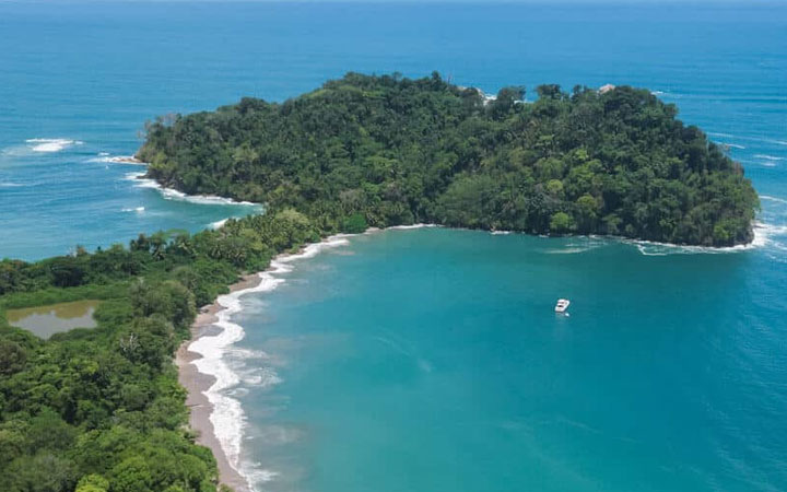 Guided Nature Tour in Manuel Antonio